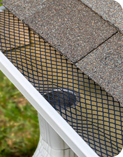 Leaf cleanup in Waco, TX to help prevent gutter clogs