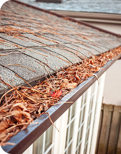 Clogged gutter showing need for leaf cleanup in Waco, TX