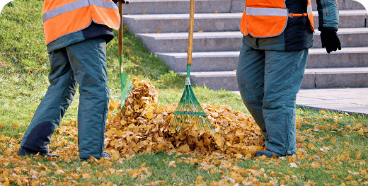 Leaf raking in Waco, TX with piles ready for pickup