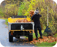 Bagging leaves for haul-away during leaf removal in Waco, TX