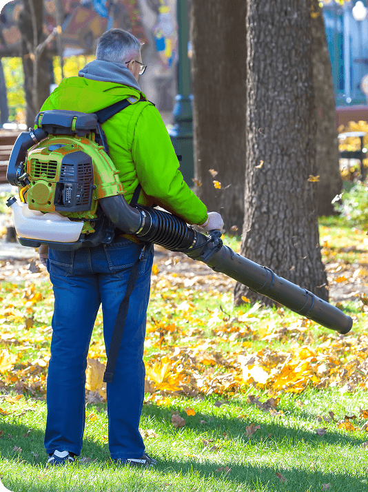 Leaf removal cost estimate for Waco, TX showing typical price range